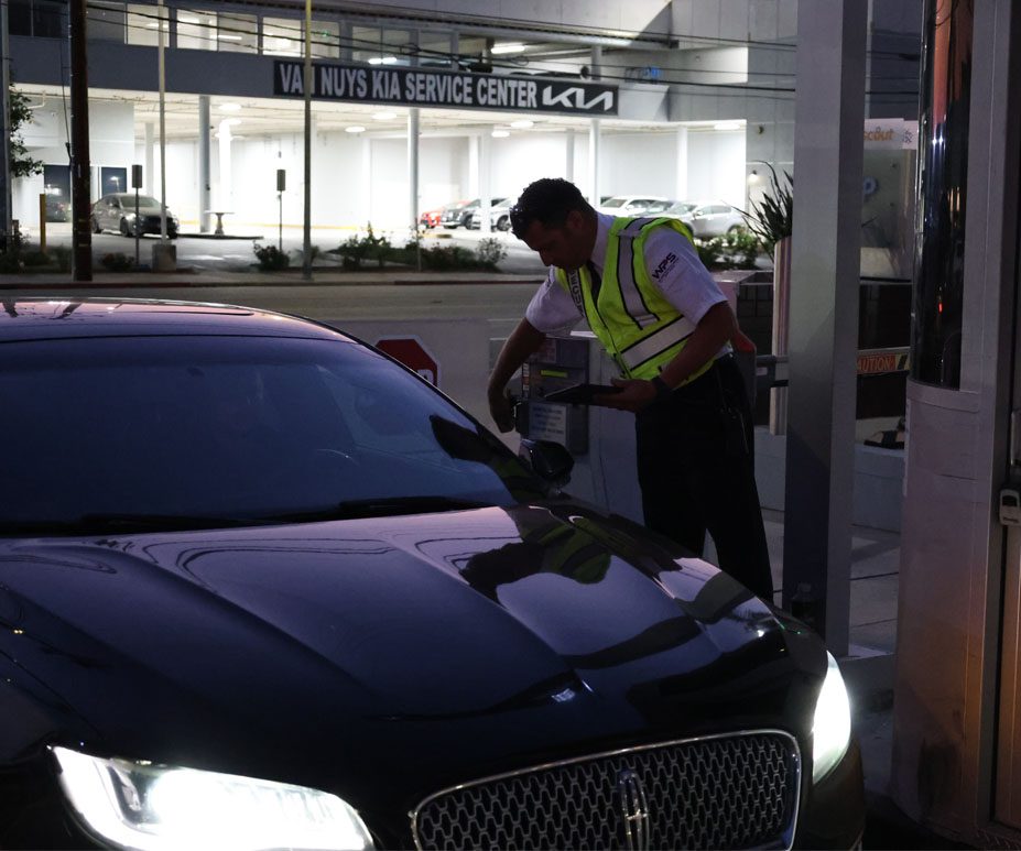 Car Dealerships