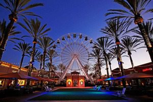 A ferris wheel in the middle of palm trees.